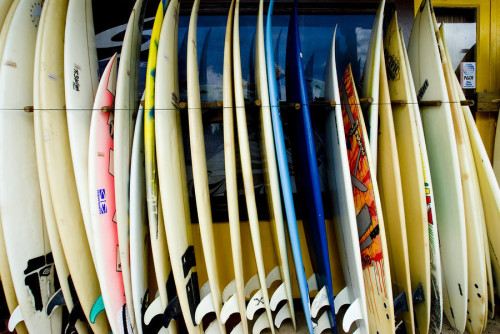 row-of-surfboards-ray-laskowitz